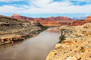 Colorado River south from Hite-0930